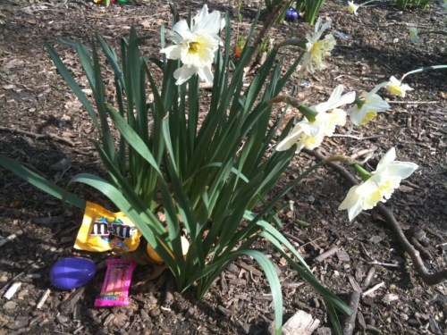 Tumblr_l0dki73xbk1qaacvdo1_1280