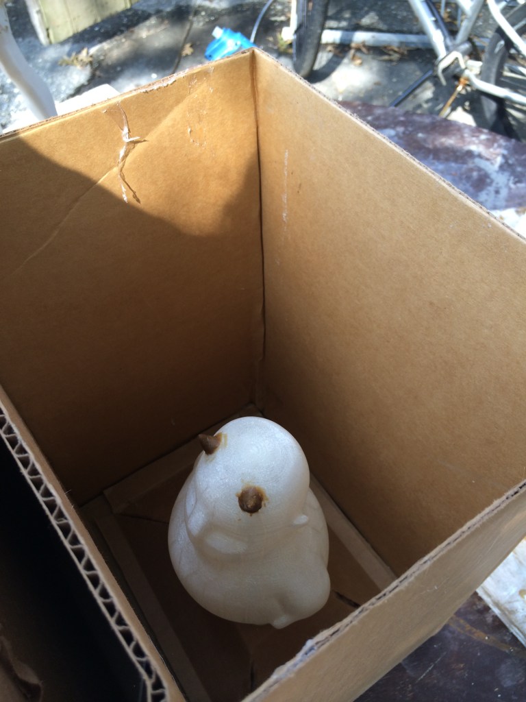 I just used a cardboard box for a form for Zee. 